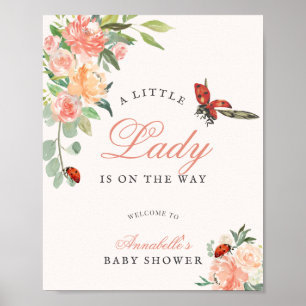 Poster Petite Dame Coccinelle Roses Fille Baby Shower