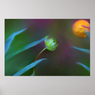 Poster Petite et paisible de fleur sauvage peinture