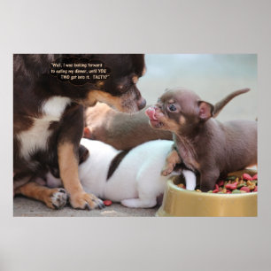 Poster Petite famille de chiens au dîner