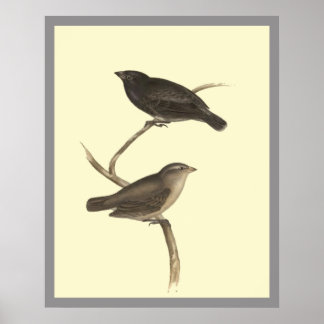 Poster Petite Finition Arbre