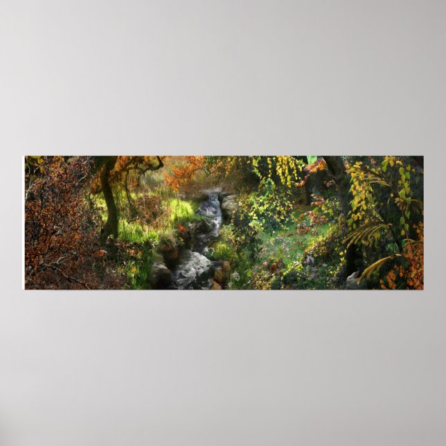 POSTER PETITE FORÊT RIVIÈRE MOYENNE (Devant)
