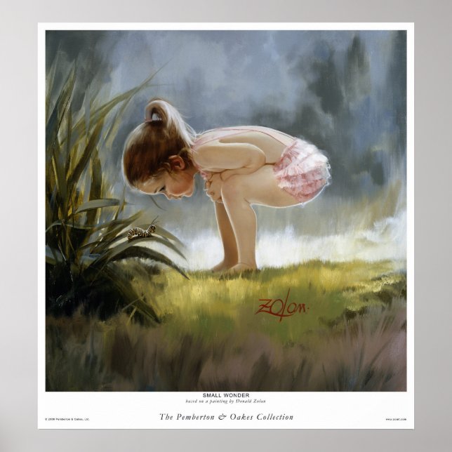 Poster Petite merveille (Devant)