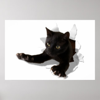 Poster petite panthère