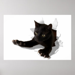 Poster petite panthère sautante