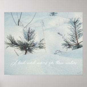Poster Petites épinettes sous la neige
