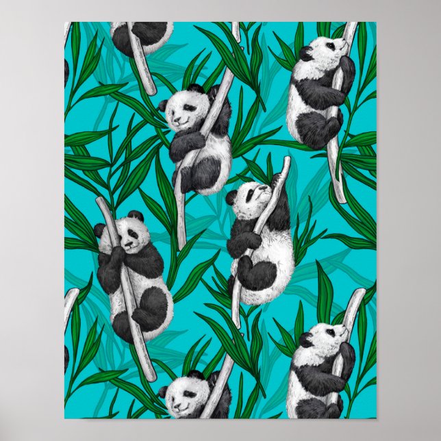 Poster Petits panda turquoise (Devant)