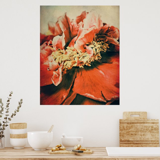 Poster Pfingstrose abstrait (Cuisine)