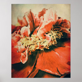 Poster Pfingstrose abstrait