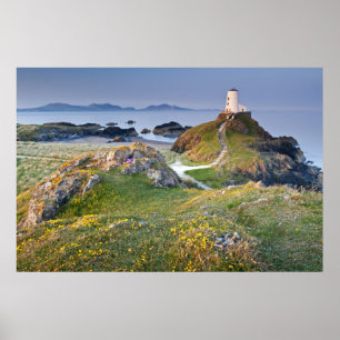 Poster Phare de MAWR de Twr sur l'île de Llanddwyn