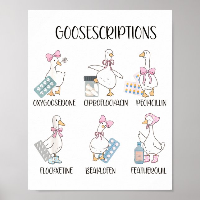 Poster Pharmacy Funny Goose Silly Prescriptions Puns Medi (Devant)