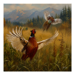 Poster Pheasant Forever – Art de la faune de chasse en ha