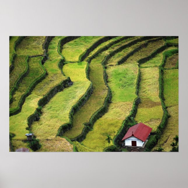 Poster Philippines, Batad, vue surélevée de riz (Devant)