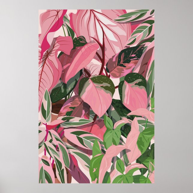 POSTER PHILODENDRON ROSE PRINCESS LADIES POSTER, (Devant)