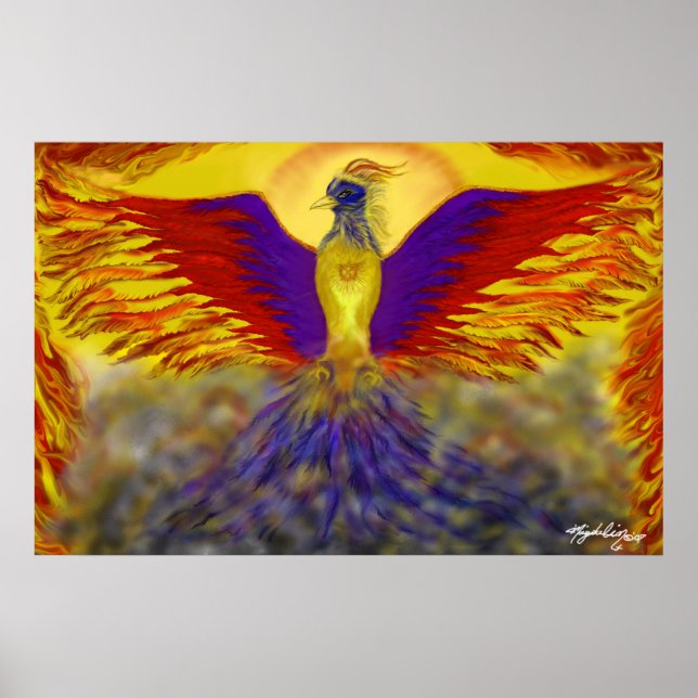 Poster Phoenix (Devant)