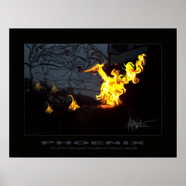 Poster Phoenix (Devant)