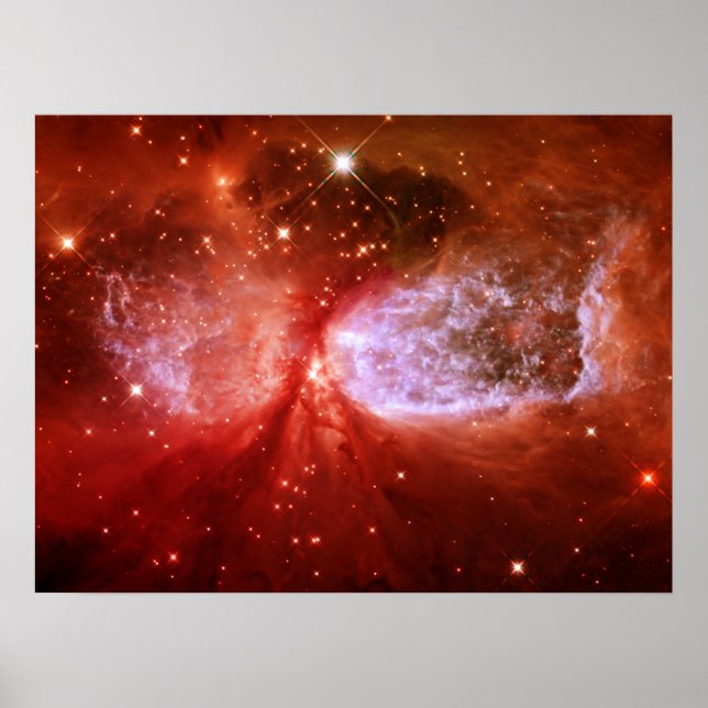 Poster Phoenix (Devant)