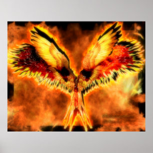 Poster Phoenix