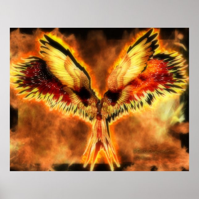 Poster Phoenix (Devant)