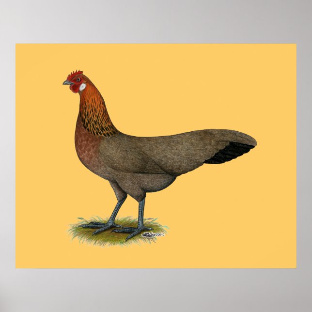 Poster Phoenix : BB Red Hen (Devant)