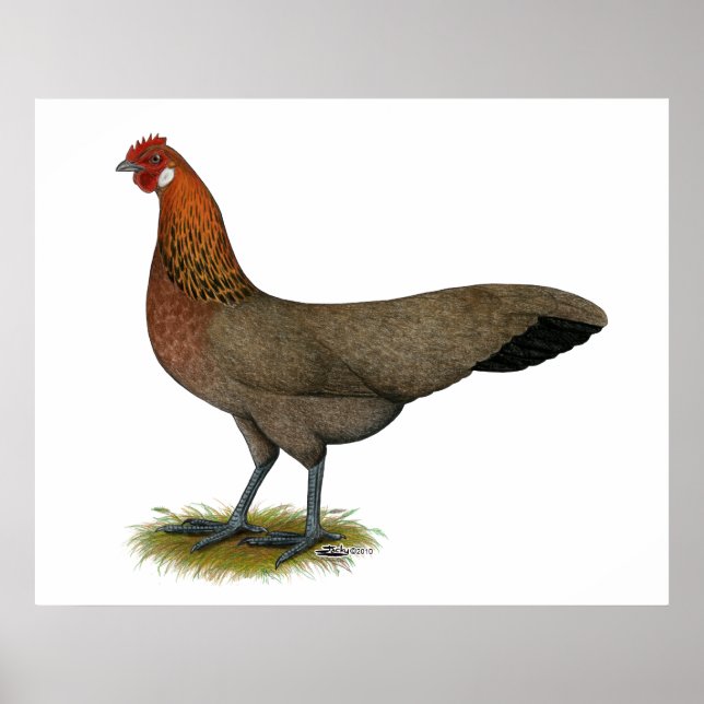 Poster Phoenix : BB Red Hen (Devant)