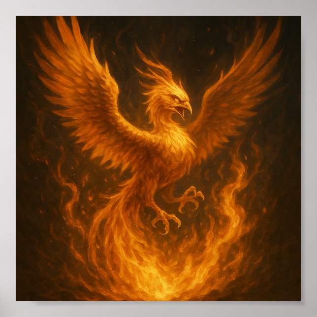 Poster Phoenix : Commencer à renaître (Devant)