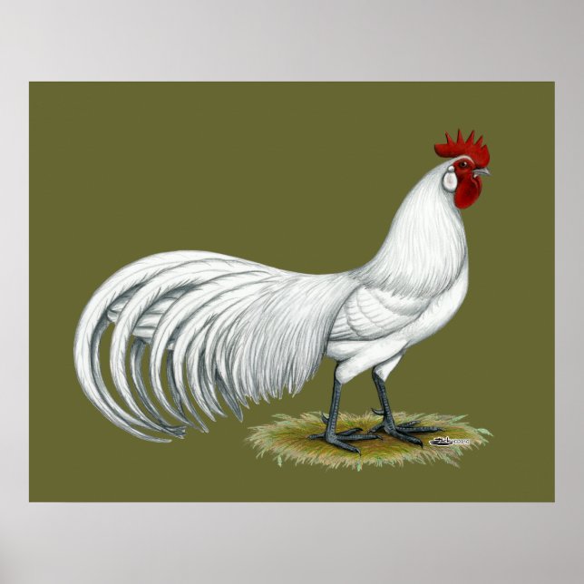 Poster Phoenix : Coq blanc (Devant)