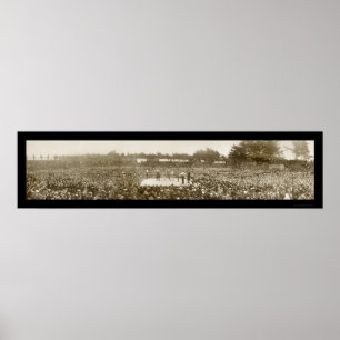 Poster Photo 1905 de boxe du Nelson Britt