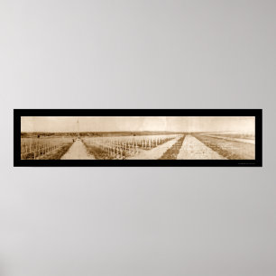 Poster Photo 1919 de la France WWI de cimetière