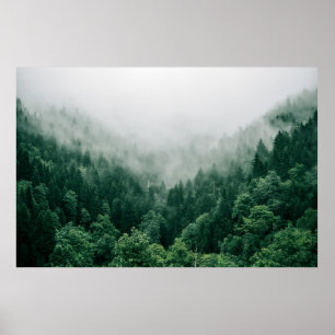 POSTER PHOTO AÉRIENNE D'ARBRES VERTS