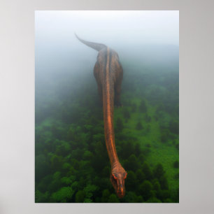 Poster photo aérienne de la forêt primitive
