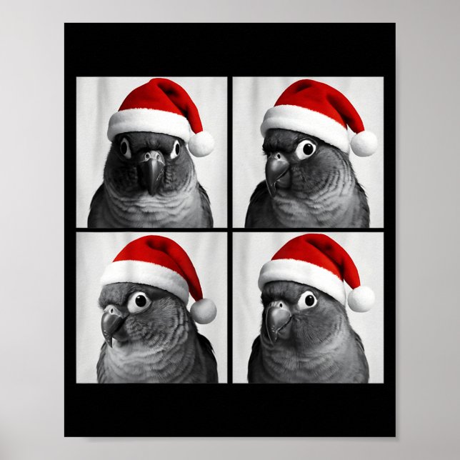 Poster Photo amusant de Noël d'un conure à joues vertes e (Devant)