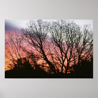 Poster photo au coucher du soleil