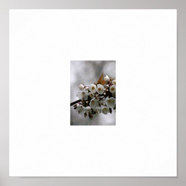 Poster Photo cadre (Devant)