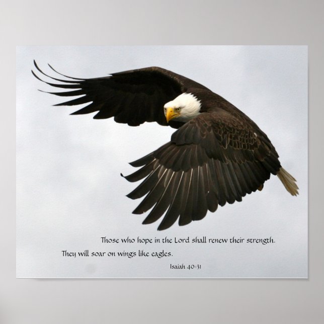 Poster Photo d'aigle avec la Bible Verse (Devant)