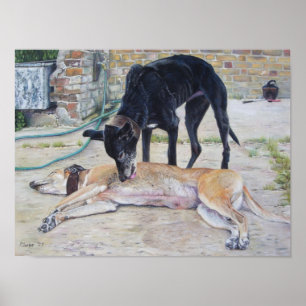 Poster Photo d'art pittoresque de chiens gris dans une co