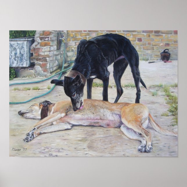 Poster Photo d'art pittoresque de chiens gris dans une co (Devant)