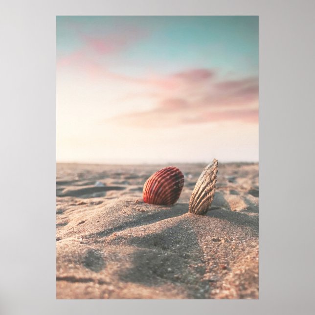 Poster photo de Beach Sunset Sea Shell Beach (Devant)