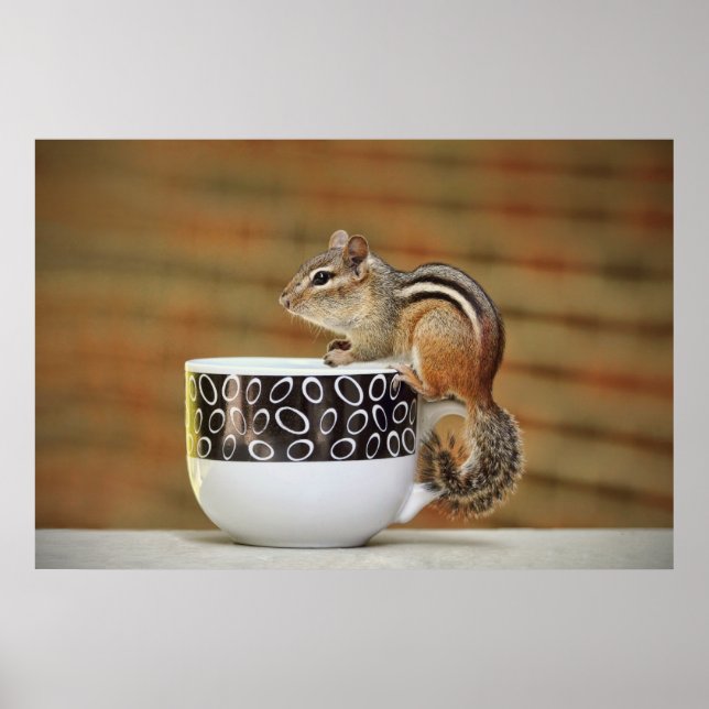Poster Photo de Chipmunk avec Latte Coffee Cup (Devant)