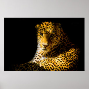 POSTER PHOTO DE CLOSEUP DE LEOPARD