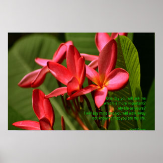 Poster Photo de fleurs de plumeria avec citation de Khali