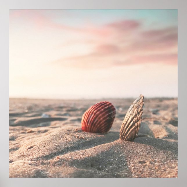 Poster photo de la mer Coquille de mer Calm Sand B (Devant)