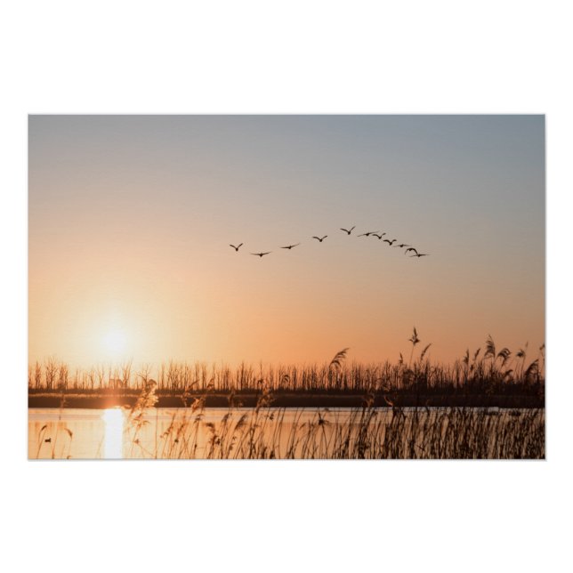 Poster Photo de la nature de Mecklembourg-Poméranie-Occid (Devant)