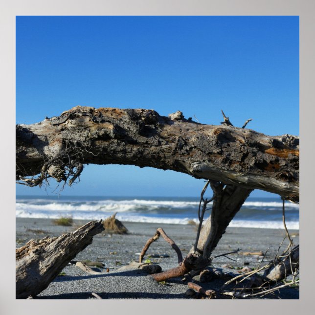 Poster Photo de la plage de Dritwood Coast Nature (Devant)