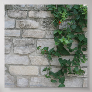 Poster Photo de la vigne de brique blanche
