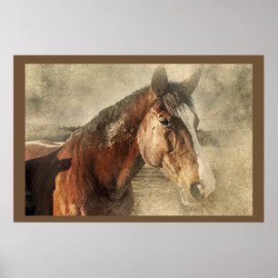 Poster photo de l'artisanat des chevaux