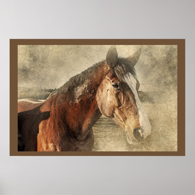 Poster photo de l'artisanat des chevaux (Devant)