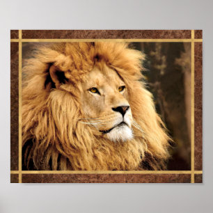 Poster Photo de lion en gros plan