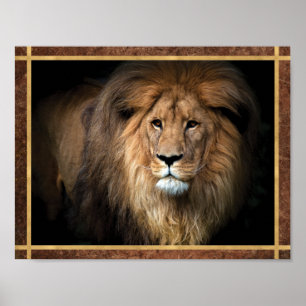 Poster Photo de Lion Majestueux