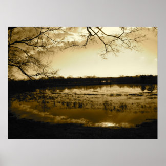 Poster Photo de marais