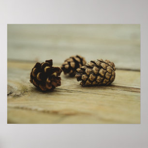 Poster Photo de nature morte rustique de pommes de pin su